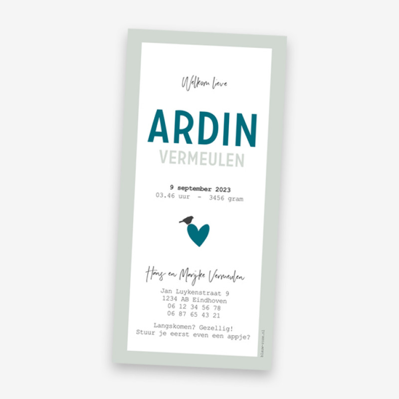 Geboortekaartje Ardin