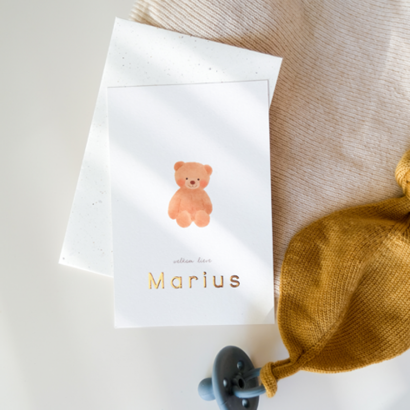 Geboortekaartje Beertje