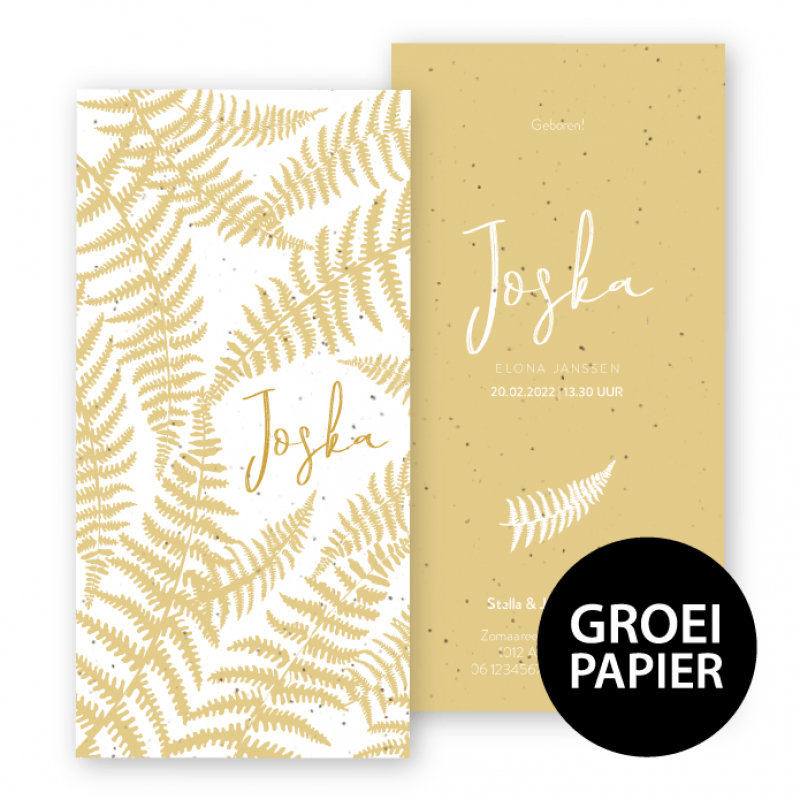 Geboortekaartje Bloeipapier Joska Geboortekaartje Bloeipapier Joska