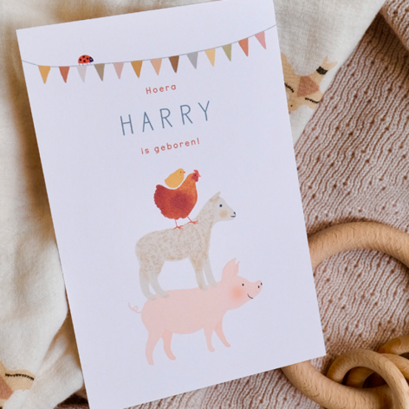 Geboortekaartje Dieren