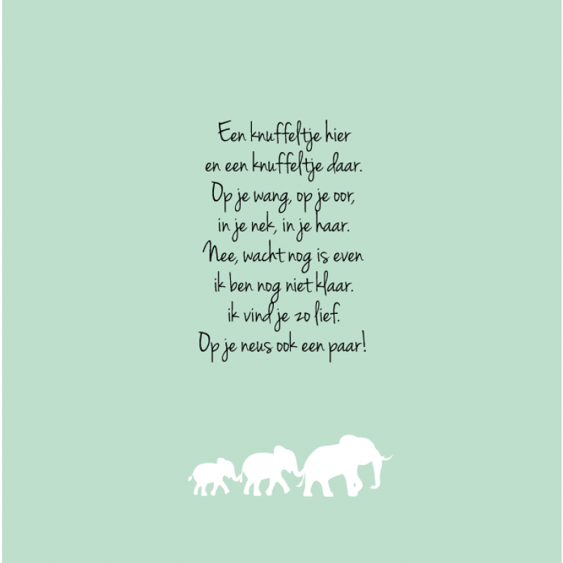 Geboortekaartje Familie olifant