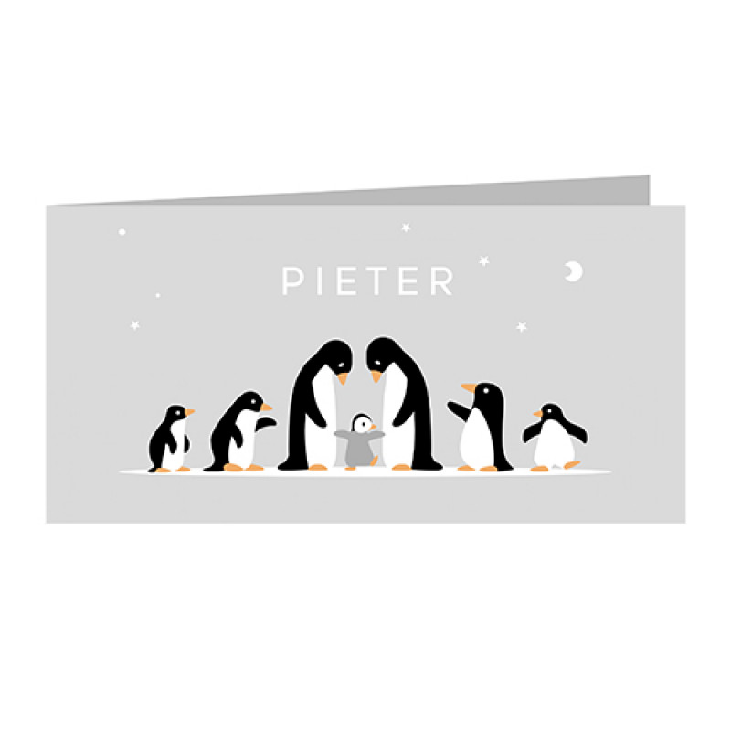 Geboortekaartje familie pinguïn