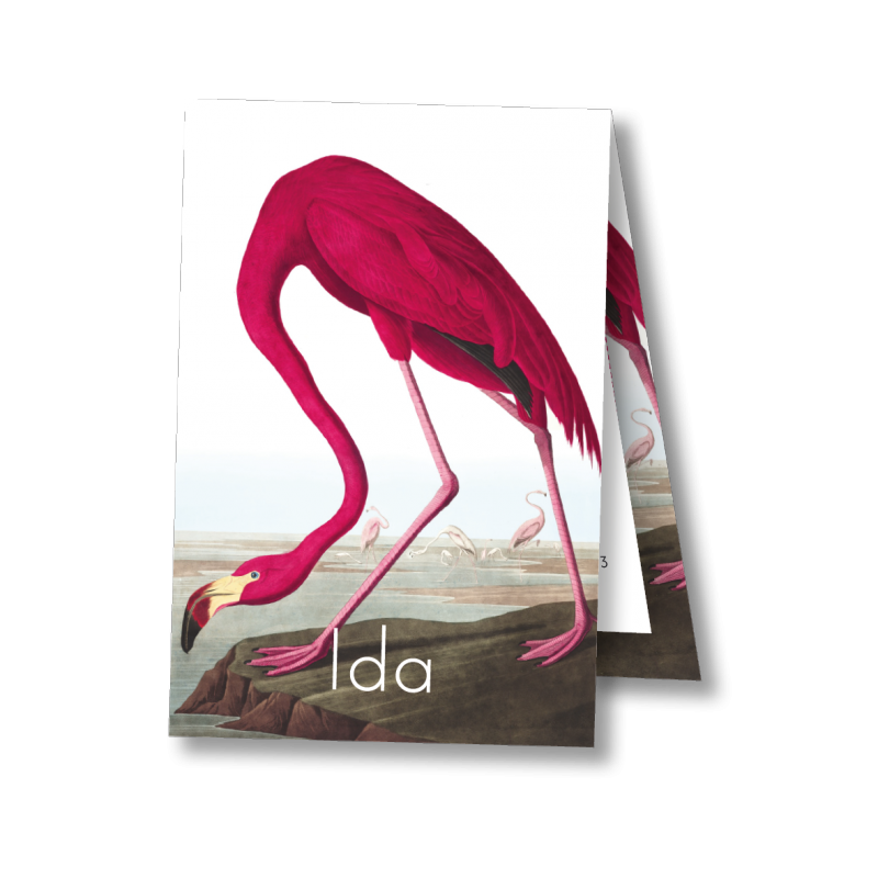 Geboortekaartje Geboortekaart - Ida Geboortekaartje Geboortekaart - Ida
