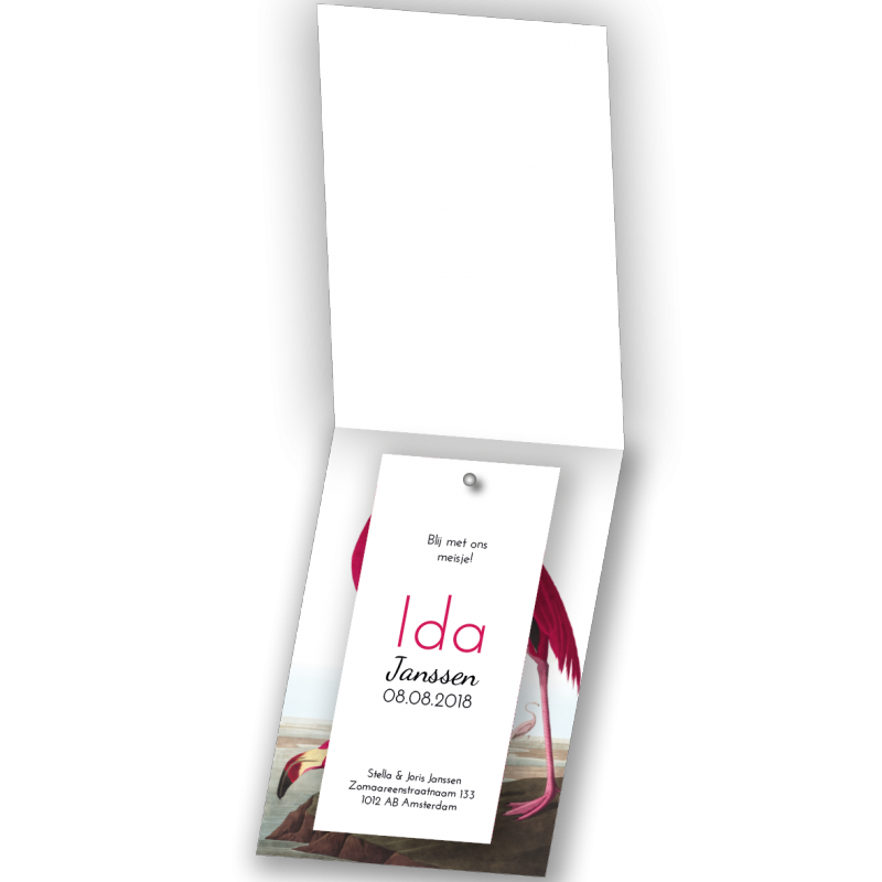 Geboortekaartje Geboortekaart - Ida Geboortekaartje Geboortekaart - Ida