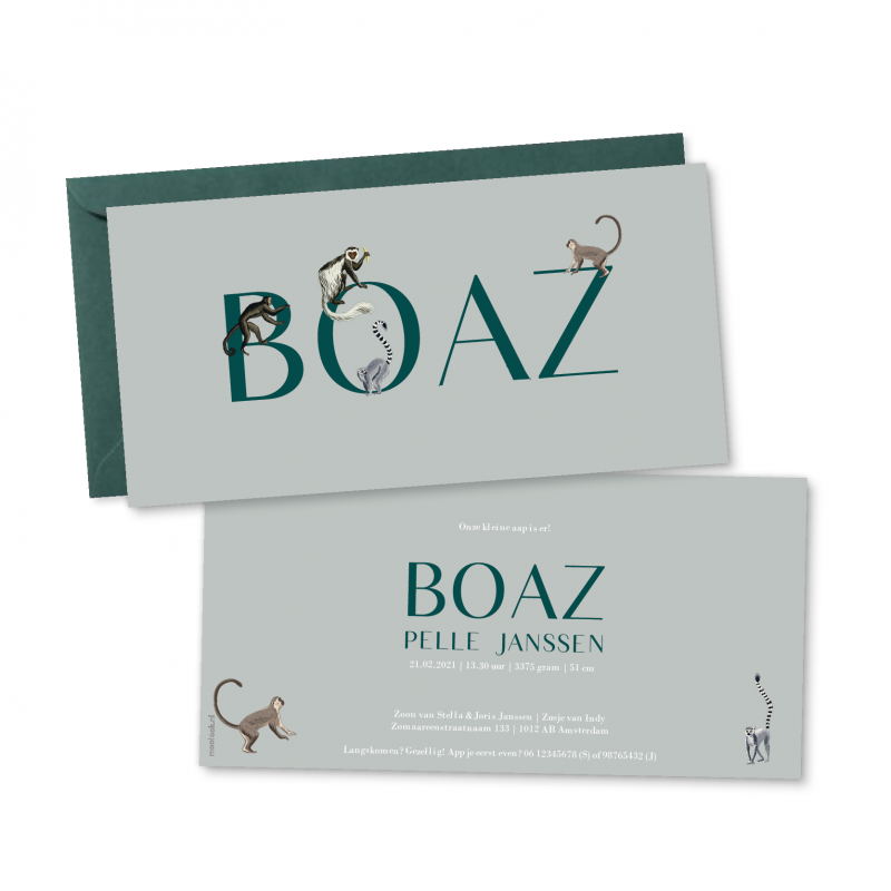 Geboortekaartje geboortekaartje Boaz Geboortekaartje geboortekaartje Boaz