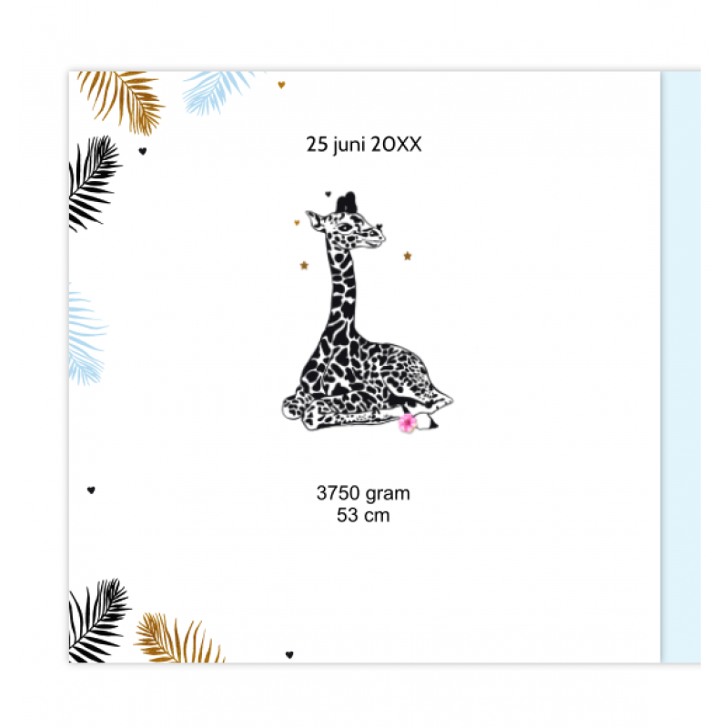 Geboortekaartje Geboortekaartje Giraffe