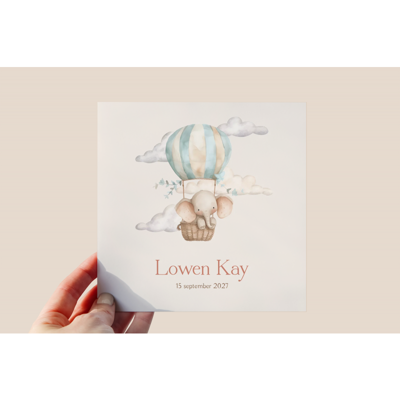 Geboortekaartje Geboortekaartjes Ballon