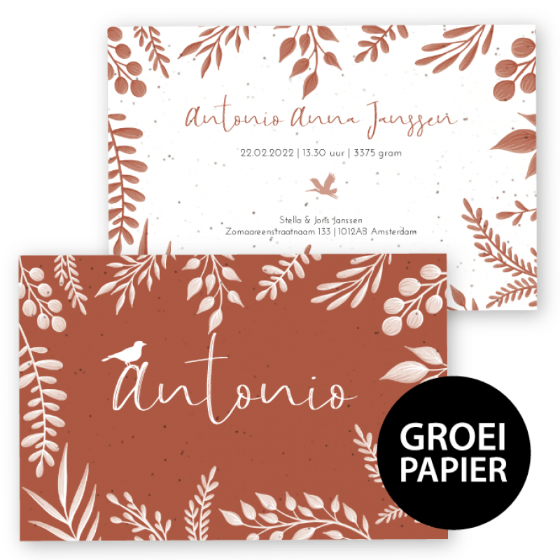Geboortekaartje Groeipapier Antonio Geboortekaartje Groeipapier Antonio