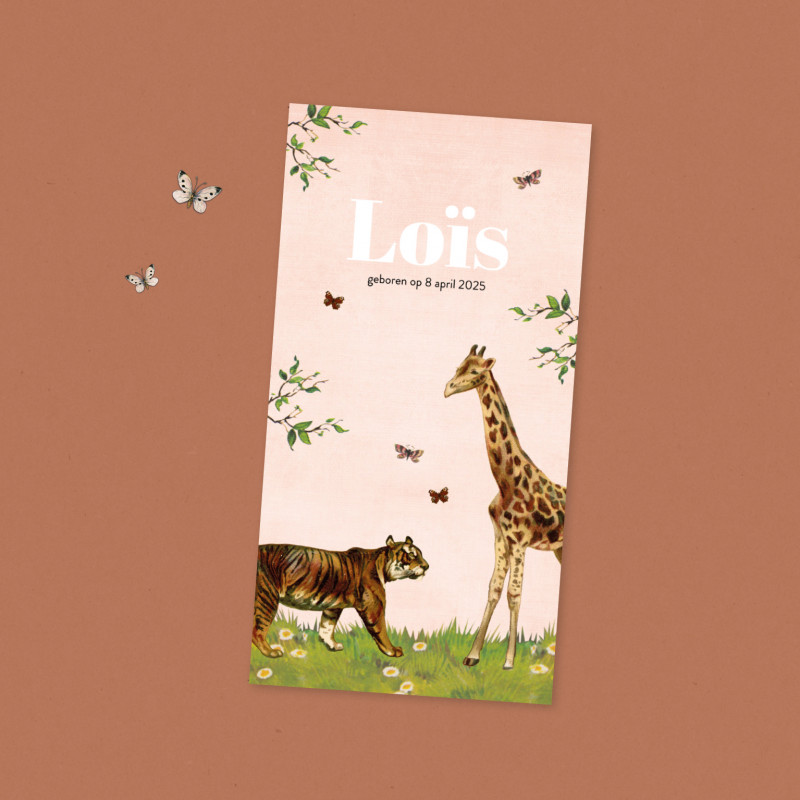 Geboortekaartje Jungle dieren Geboortekaartje Jungle dieren