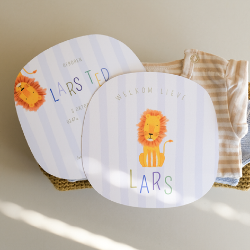 Geboortekaartje Leeuwtje