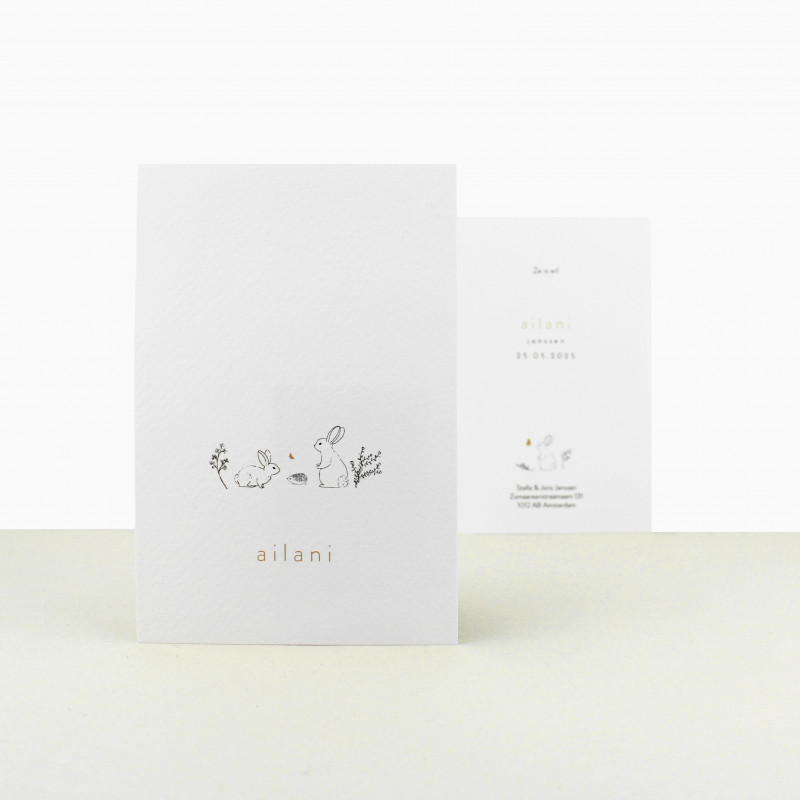 Geboortekaartje Minimalistisch kaartje Geboortekaartje Minimalistisch kaartje