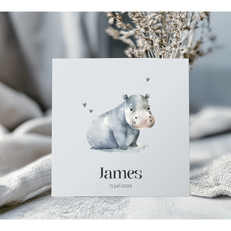 Geboortekaartje Nijlpaard aquarel