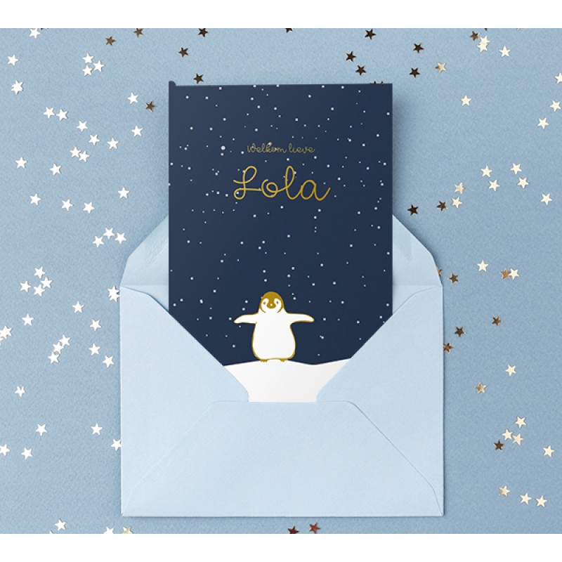Geboortekaartje Pinguin 