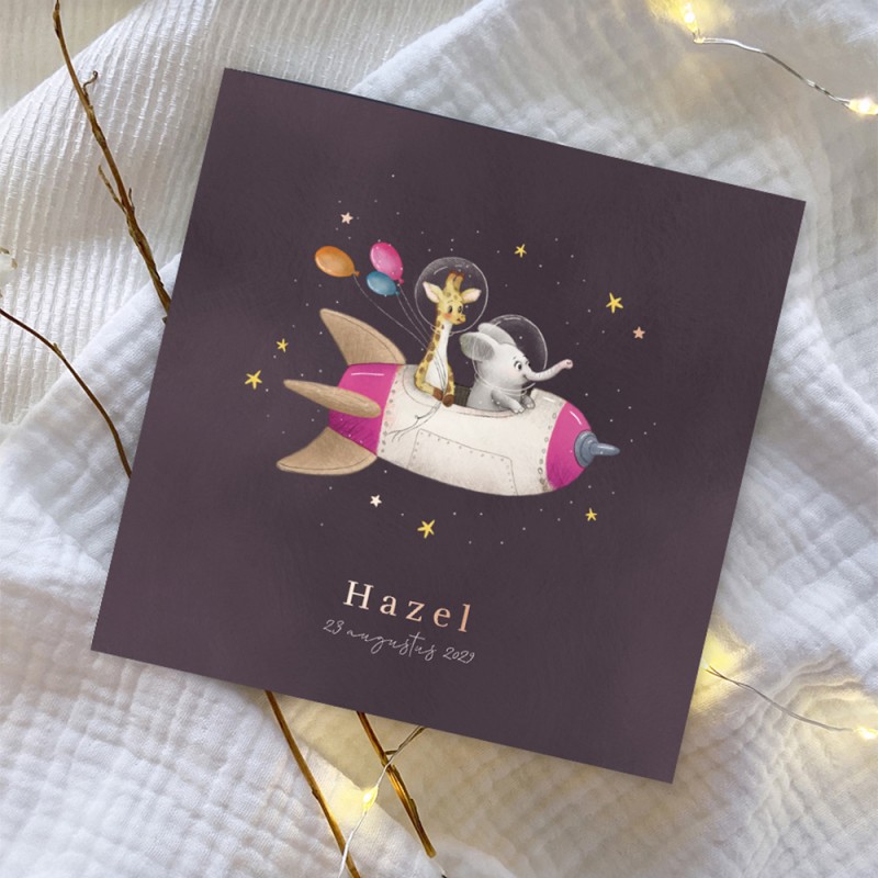 Geboortekaartje raket met giraf en olifant