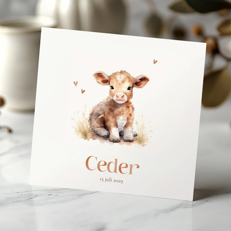 Geboortekaartje Schattige koe