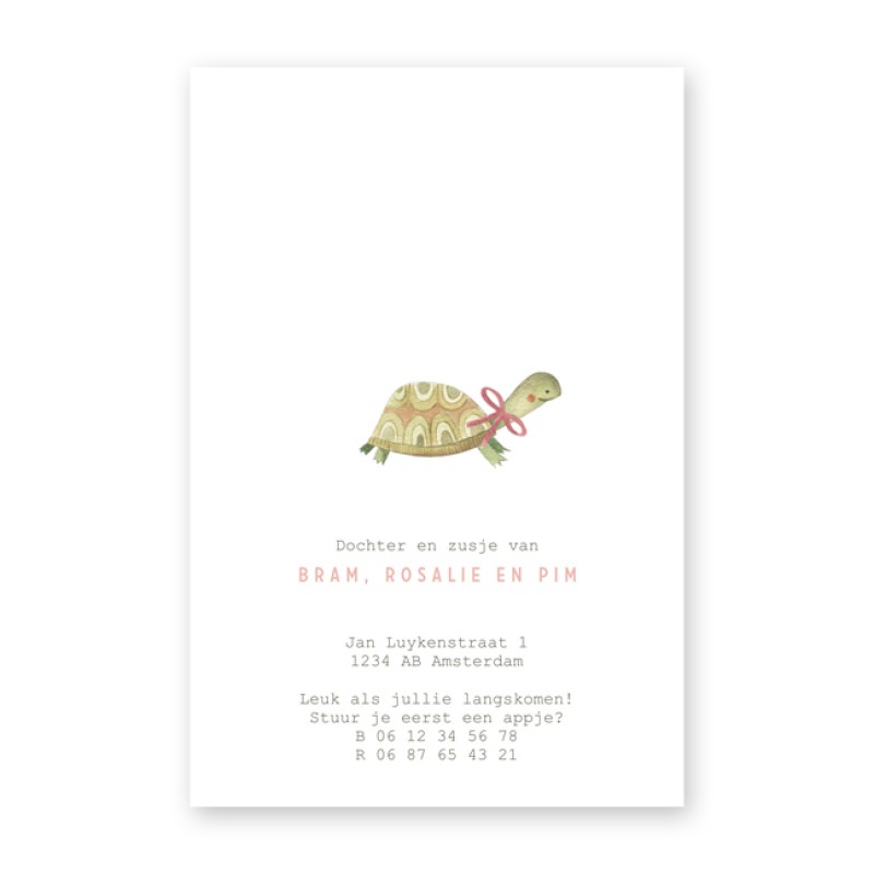 Geboortekaartje Schildpad in de jungle