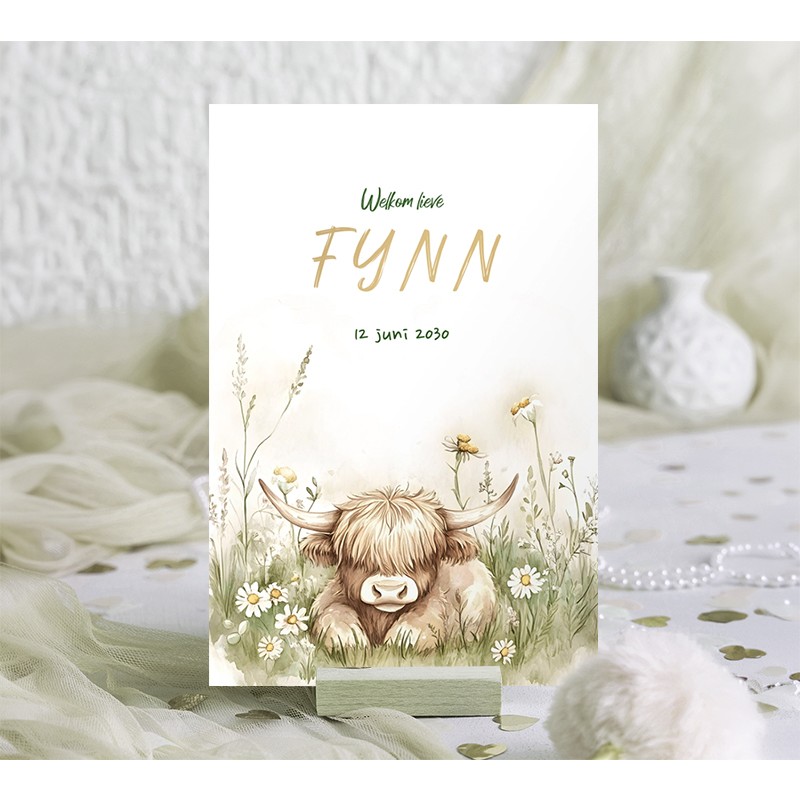 Geboortekaartje Schotse hooglander koe
