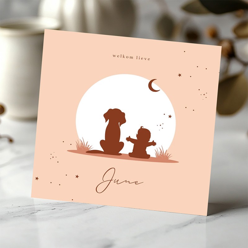 Geboortekaartje Silhouet meisje en hond