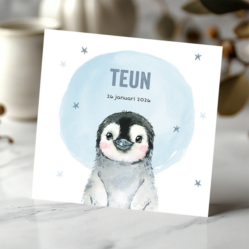 Geboortekaartje Winter met pinguin