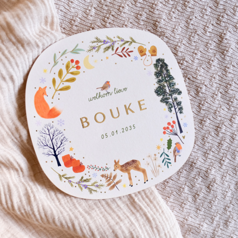 Geboortekaartje Winters geboortekaartje