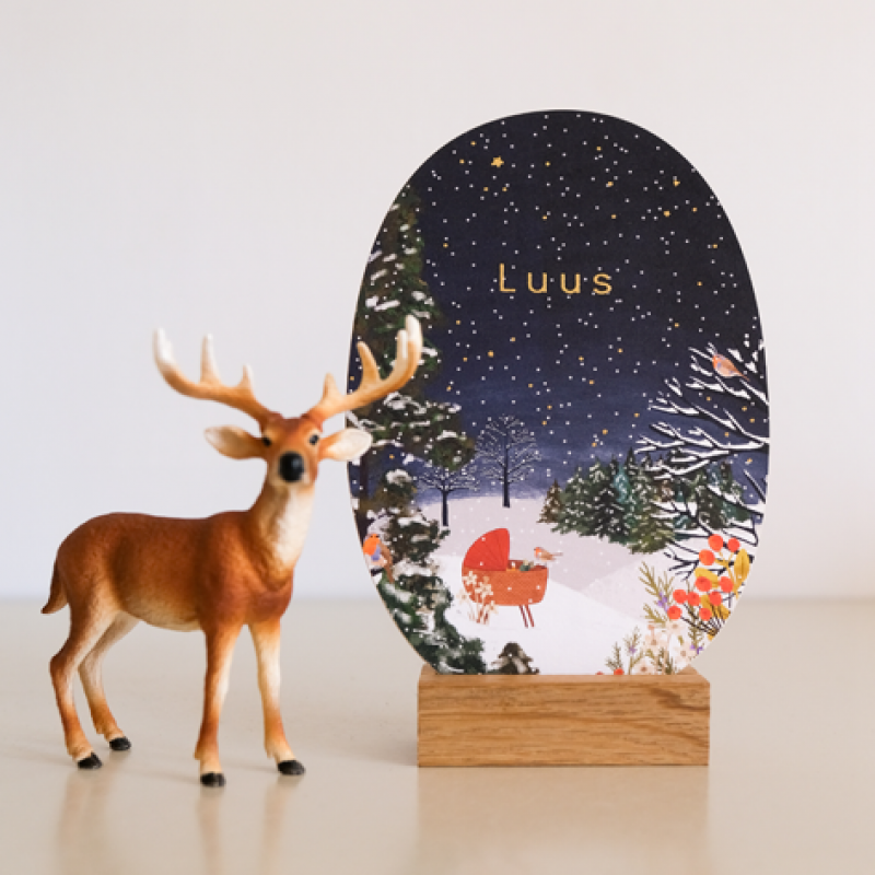 Geboortekaartje Winters geboortekaartje