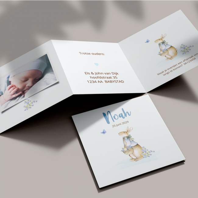 Geboortekaartje Drieluik met foto
