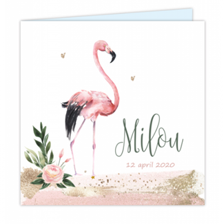 Geboortekaartje Flamingo