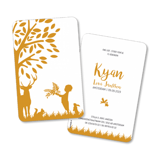 Geboortekaartje geboortekaart - Kyan