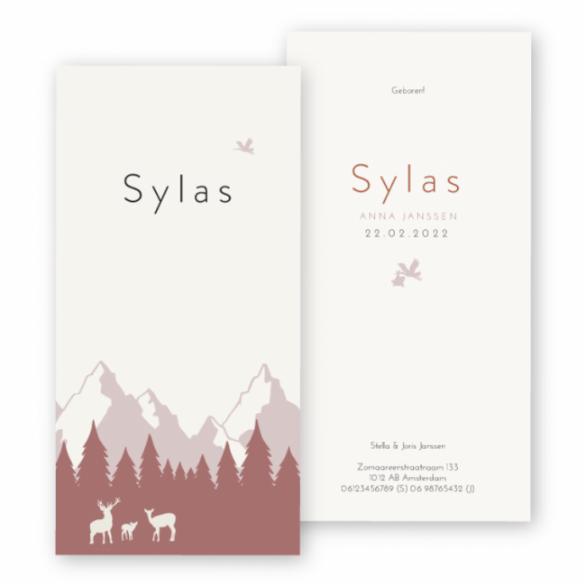 Geboortekaartje Geboortekaart Sylas