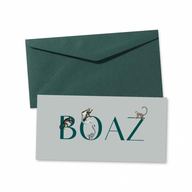 Geboortekaartje geboortekaartje Boaz