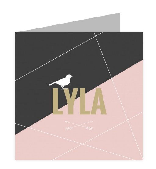Geboortekaartje geboortekaartje - Lyla