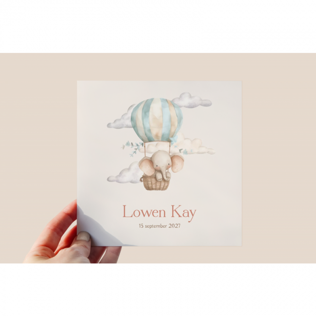 Geboortekaartje Geboortekaartjes Ballon