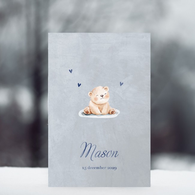 Geboortekaartje Ijsbeertje