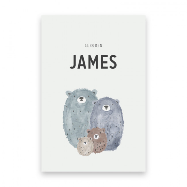 Geboortekaartje James