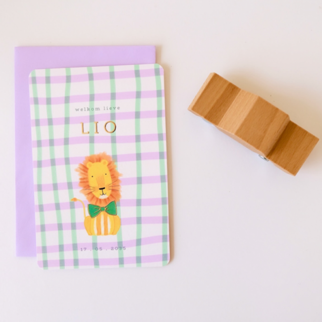 Geboortekaartje Leeuwtje