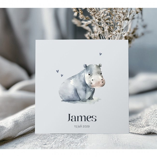 Geboortekaartje Nijlpaard aquarel