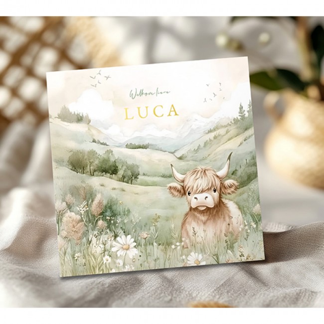 Geboortekaartje Schotse Hooglander koe