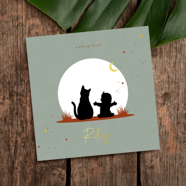 Geboortekaartje Silhouet baby en kat