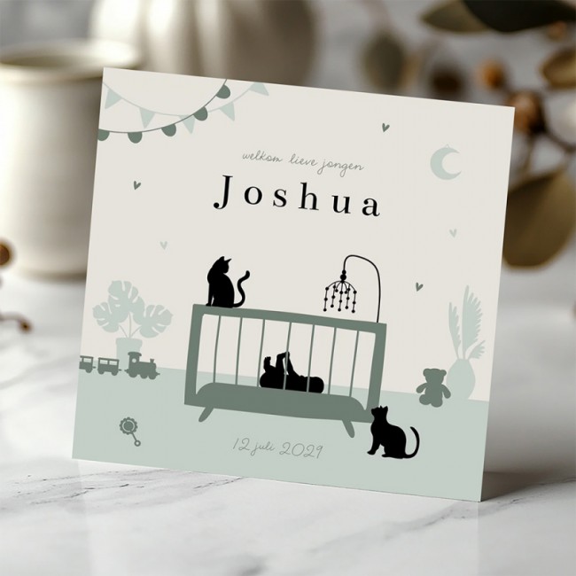 Geboortekaartje Silhouet baby in wieg