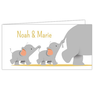 Geboortekaartje tweeling olifant