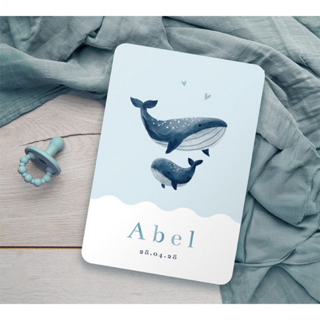Geboortekaartje Walvissen