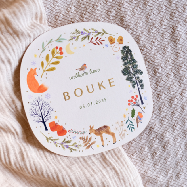 Geboortekaartje Winters geboortekaartje