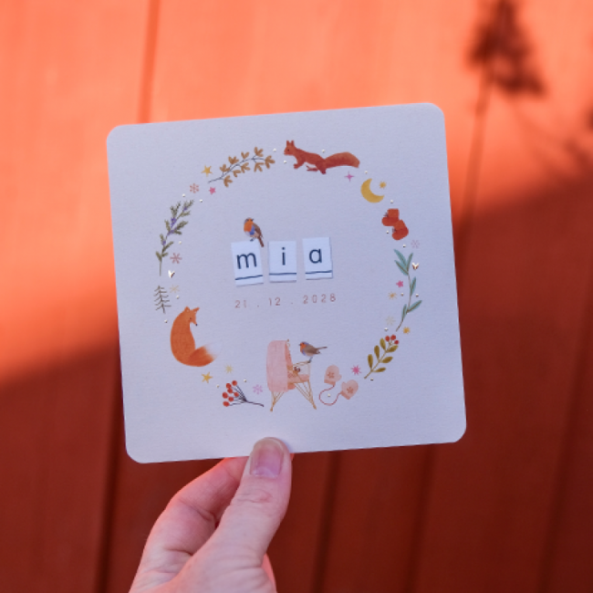 Geboortekaartje Winters geboortekaartje